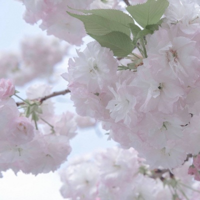 任城福瑞交流群